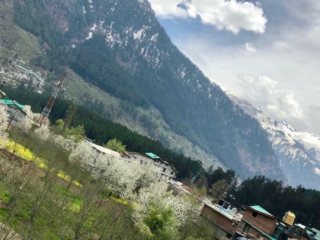 Drifter'S Inn & Cafe Manali  Exterior photo